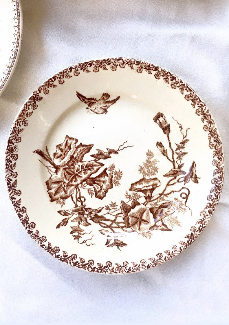 Set of 6 French Antique Ironstone Plates - "Mix and Match" Motifs