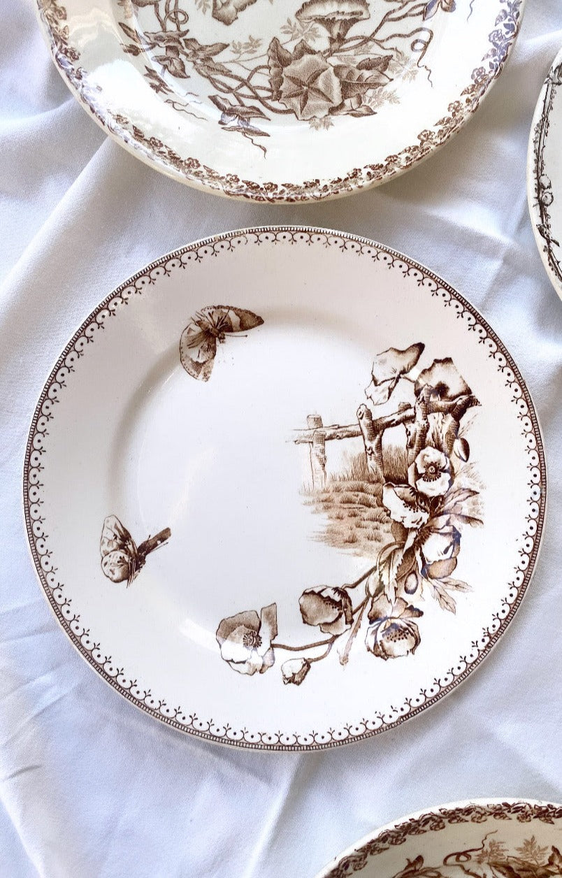 Set of 6 French Antique Ironstone Plates - "Mix and Match" Motifs