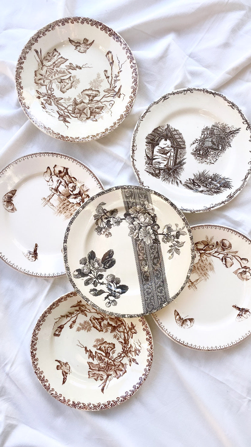 Set of 6 French Antique Ironstone Plates - "Mix and Match" Motifs