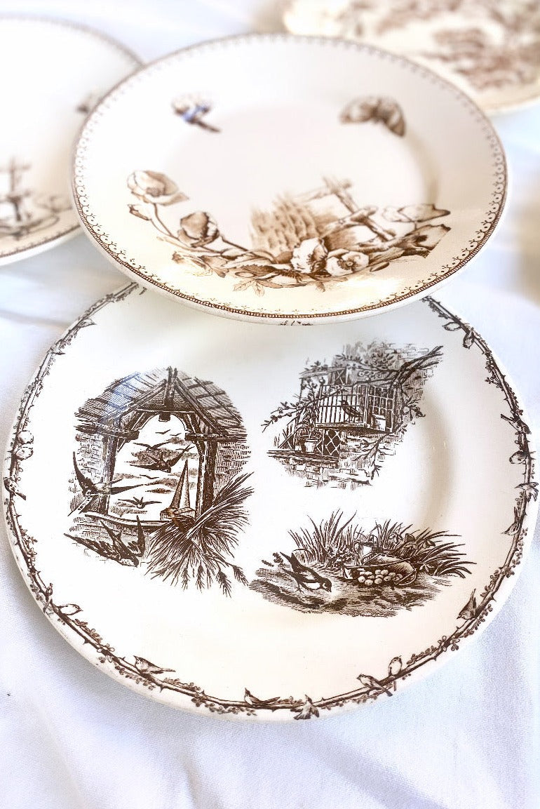 Set of 6 French Antique Ironstone Plates - "Mix and Match" Motifs